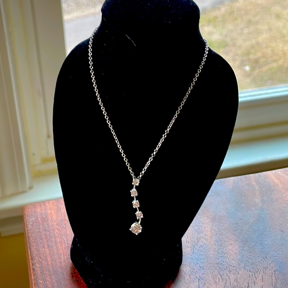 SS Chain and pendant